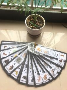 Học Liệu Đoán Con Vật- Đồ Chơi Giáo Dục Sớm- Đồ Chơi Thông Minh An Toàn Cho Bé Từ 2 Tuổi