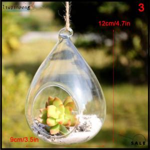 [liujinpeng] Hanging Transparent Ball Flower Planter Vase Terrarium Landscape Container
