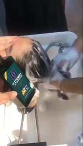 Tingba Zero Degree Mint Refreshing Shampoo Silicone-Free 0 Cooling Anti-Dandruff Oil Control 750ML Shampoo