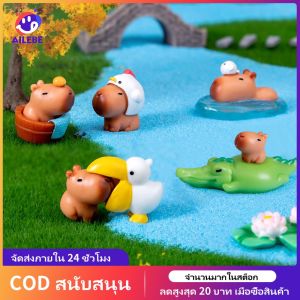 AILEBE ✨รูปปั้นปลาโลมาการ์ตูนน่ารักขนาดเล็กภูมิทัศน์การ์ตูนออกแบบของเล่นเครื่องประดับตุ๊กตาของเล่น✨