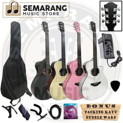 Gitar Akustik Elektrik APX Custom Tanam Besi