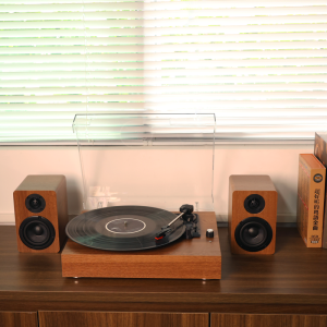 Mzeliking Retro Turntable Vinyl Record Player Kit Detachable Bookshelf Stereo Speaker Wireless Receive & Transmit/RCA Connectivity for Home Decor Gift