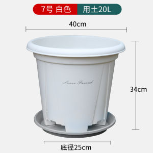 LZD Extra Large Thick Gallon Basin Qingshan Plastic Basin Tree Planting Large on-the-Ground Green Plant Pot Chinese Rose Fruit Tree Flower Pot