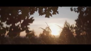 น้ำตาลน้ำตาล NativePath Native Hydrate ไม่มีน้ำตาล ผงอิเล็กไลต์พร้อม BCAAs น้ำตาลส้มเขียวหวาน เหมาะสำหรับคีโตและพาโล