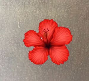 Hình ủi ép nhiệt-Hình in áo-Logo Sticker RED FLOWER HOA ĐỎ ủi áo trực tiếp tại nhà rất đẹp-IN LOGO THEO YÊU CẦU INBOX SHOP-MAJESTIC.CLO-LUCK