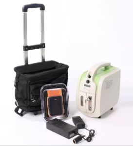Ready✅ Wellect Portable Oxygen Concentrator Ambulance Travel Mesin Oksigen Medical Apparatus High Purity O2 Machine Home