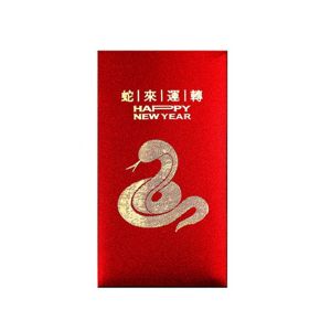 LETOY 6pcs Cute Red Envelope Bag Paper Cartoon Red Packet New Year Blessing Thickened Luck Pocket New Year
