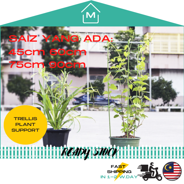 [45/60/75/90] Conical Trellis Plant Support Frame Gardening Flower ...