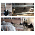 Goat Drinker Automatic Sheep Drinker Goat Waterer Livestock Waterer for Dog Piglet Goat. 