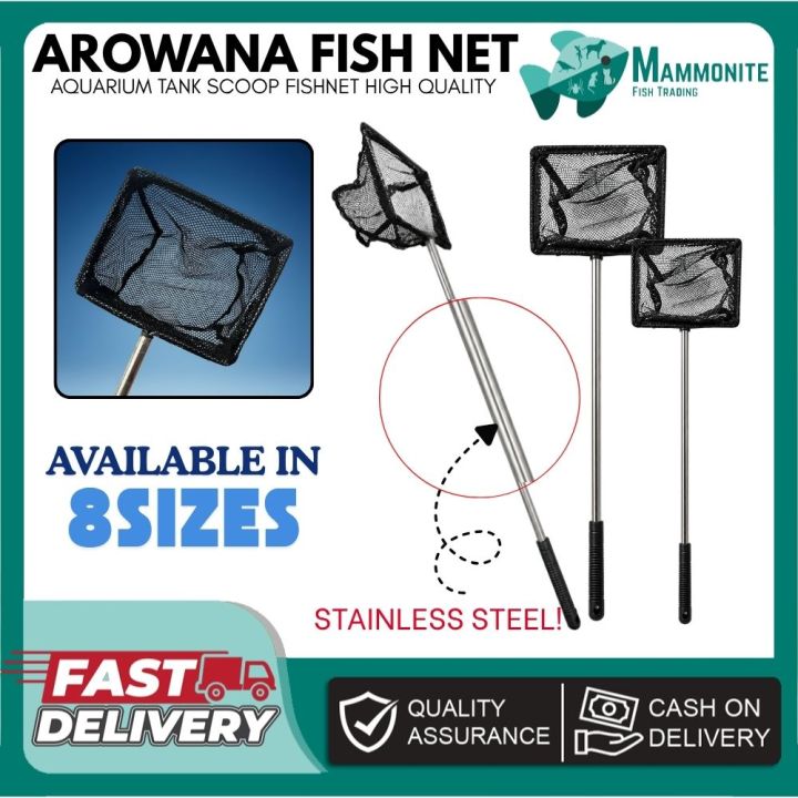 aquarium fish net price philippines Arowana Fish Net Aquarium Tank Scoop Fishnet Arowana Net