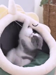 Cat bed Removable Washable nest for dog house indoor cat cage Foldable Cartoon tempat tidur kucing murah dog bed