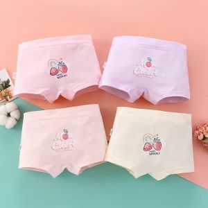Celana Dalam Anak Perempuan Pakaian Dalam Cewek Celana Remaja Celana Pendek Boxers Import