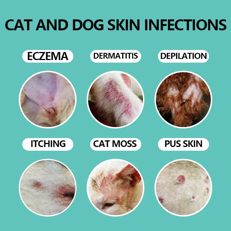 30ML Cat Spray Cat Skin Diseases Treatment Kitten Wound Treatment