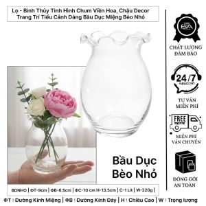 Bình Hoa Thủy Tinh Dáng Bầu Dục Miệng Bèo Decor Nhiều Kích Thước Trang Trí Nhà Cửa Cao Cấp