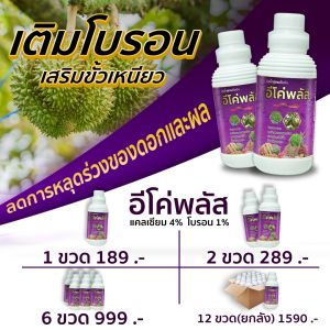 อีโค่พลัส แคลเซียมโบรอน   ขั้วดอกเหนียว ดอกดก ลดการหลุดร่วง เติมแคลเซียมพืช  1 ลิตร