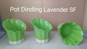 Pot Bunga Dinding Lavender Hijau/Sun Flower /Plastik