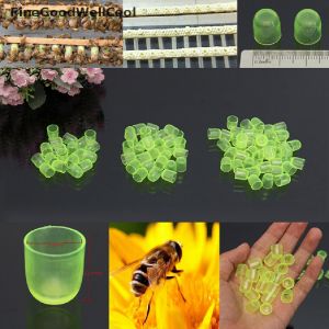 mangkok royal jelly ratu lebah bee ternak lebah warna hijau termurah