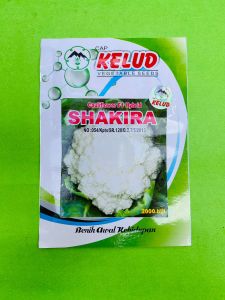 Benih Bunga Kol SHAKIRA isi 10gr dr Cap Kelud F