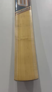 EM Exploder 1.0 Kashmir Willow Tennis Cricket Bat – SH