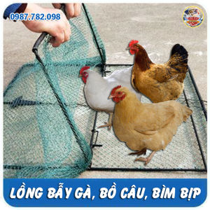 Mẹt Vuông Lồng Bẫy Chim Gà Bìm Bịp Cò Quốc Cút Rừng