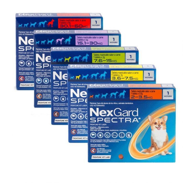 2024 Nexgard Spectra for Dog Anti Tick and Flea Chewable Tablet for