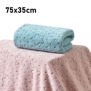 Quick-Dry Jacquard Star Coral Fleece Absorbent Soft Towel LW012