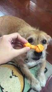 ขนมสุนัข กระดูกผูก ขัดฟันสุนัข ขนมขัดฟันน้องหมา ขนมขัดฟันหมา ขนมหมา กระดูกหมาแทะ