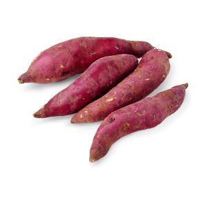 Japanese Sweet Potato