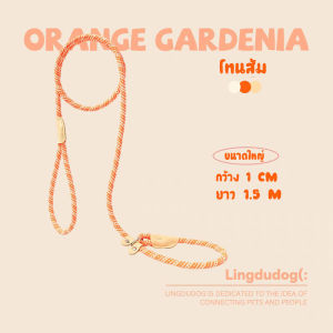 สายจูงสัตว์เลี้ยง สายจูงสุนัข ครบเซ็ต ไม่ต้องใช้ปอกคอ เรืองแสง หลากสีให้เลือก