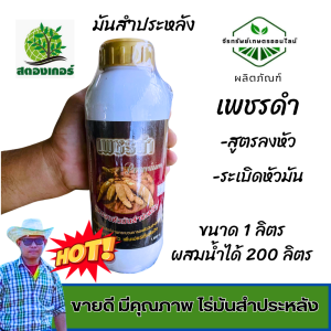 มันสำประหลังลงหัว เพิ่มน้ำหนัก สร้างแป้ง เพชรดำพรีเมี่ยม ขนาด 1 ลิตร