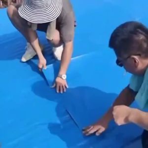 Color Steel Tile Waterproof Self-adhesive Membrane Roof Leak Repair Strong Butyl Heat