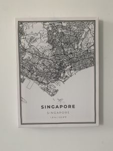 Singapore Map Print Art Poster city street road map