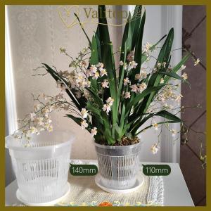 [Valitoo] 11 14cm Mesh Pot Root Control Transparent Flowerpot For Orchid Flower Breathable Growth Container Garden Plastic Flower Pot
