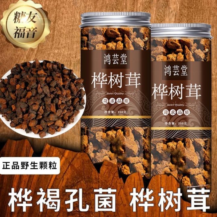 Wild Chaga Black Gold Granules Changbai Mountain Three White Chaga High ...