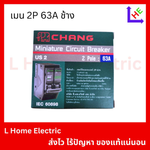 เมนธรรมดา 2P 63A ช้าง (CSO 292)