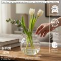 Bình Thủy Tinh Tròn Trong Suốt D11cm B7 – Cắm Hoa, Nuôi Cá Mini, Decor Nhà Cửa. 