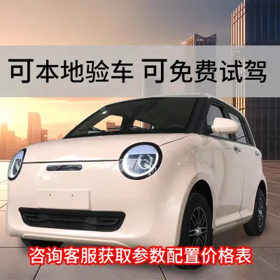 New electric four-wheel vehicle new energy household oil and electricity fully enclosed and low-speed adult walking battery four-wheel electric vehicle