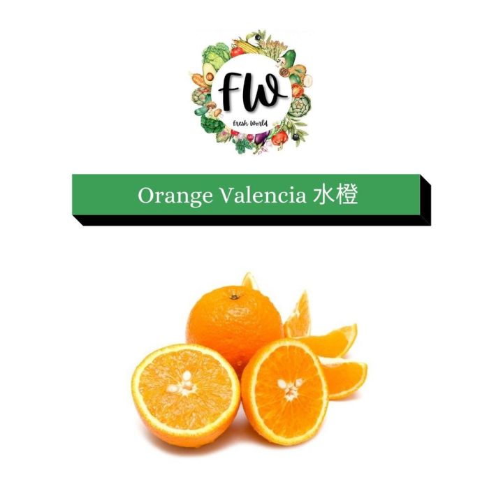 Valencia Orange // Orange Valencia 水橙 (Size L) Daily Fresh Fruit 3PCS