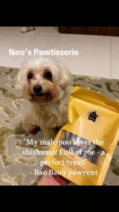 Freeze dried shishamo fish whole dog treat cat treat
