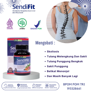 Obat Skoliosis Obat Tulang Melengkung Dan Sakit Obat Gangguan Tulang Belakang Obat Tulang Punggung Bengkok Obat Punggung Sakit Belikat Tampak Menonjol bat Cedera Tulang Punggung Dengan SendiFit