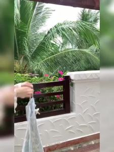 Japanese sweet and fresh embroidered blouse tassel bow halter skirt womens spring and summer new fashion Joker two-piece suit.