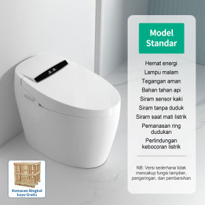 Automatic Smart Toilet Europe /multifungsi Smart Toilet /Toilet pintar baru /listrik Toilet pintar bersensor Toilet Penghangat kursi