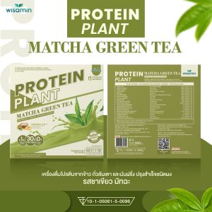 โปรตีน แพลนท์ (PROTEIN PLANT) รสชาเขียว มัทฉะ โปรตีนสูง จากพืช ออแกร์นิค 3 ชนิด ข้าว ถั่วลันเตา มันฝรั่ง จำนวน 1 กล่อง 7 ซอง 350 กรัม