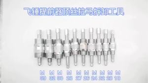 ชุดเครื่องมือถอดปั๊มฉีดน้ำมันดีเซล 10 ชิ้น Flying Hammer Advancer Jackscrew Rama Puller