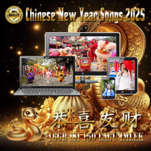 Flashdisk 16Gb Lagu Chinese New Year 2025 Isi 150 Lagu Imlek Mp4 HD Pilihan Terbaik