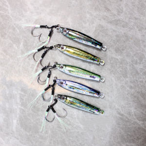 เหยื่อตกปลามีตะขอเกี่ยวจำนวน1ชิ้นเหยื่อปลอมพิมพ์ลายเหยื่อตกปลา + มีตะขอเกี่ยวปลาคู่น้ำหนัก20ก./30ก./40ก./60ก./80ก. 3D