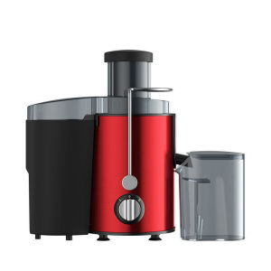 FOOKSUNG 850W Juicer & Extractor – Detox Drink Maker for Natural Glow Slow Cold Press 榨汁机 原汁机 果蔬分离机