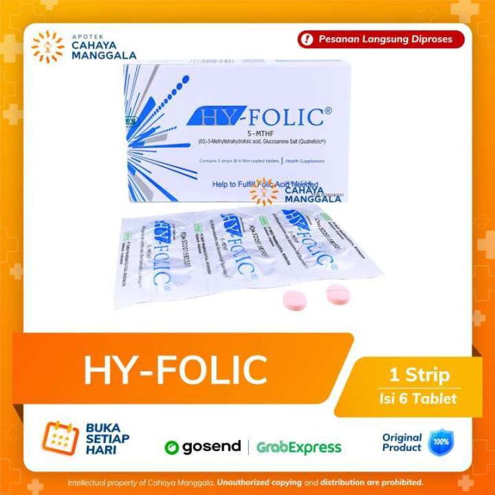 HY-FOLIC ASAM FOLAT STRIP 6 TABLET