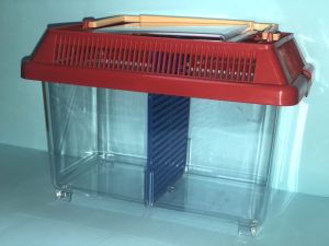 CLASSIC 2 IN 1 BETTA FISH AQUARIUM/KLASIK 2 DALAM 1 AKUARIUM IKAN LAGA/经典二合一斗鱼鱼缸