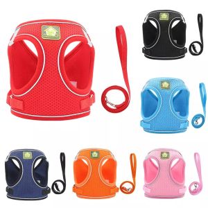 Nylon Mesh Cute Dog Harness Puppy Fashion Mesh Vest + with Leash Lead Set